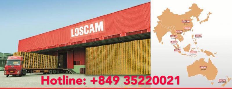 ﻿Pallet Loscam