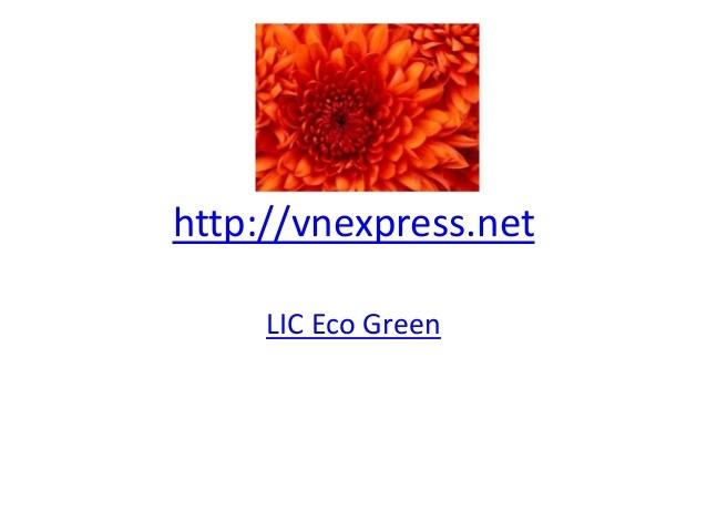 Trang web cũng có chuyên mục 