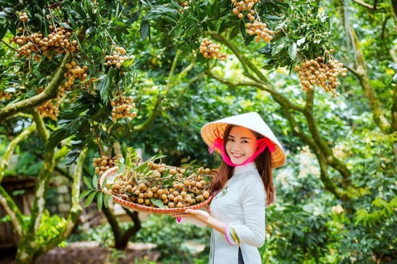 Tháng 6