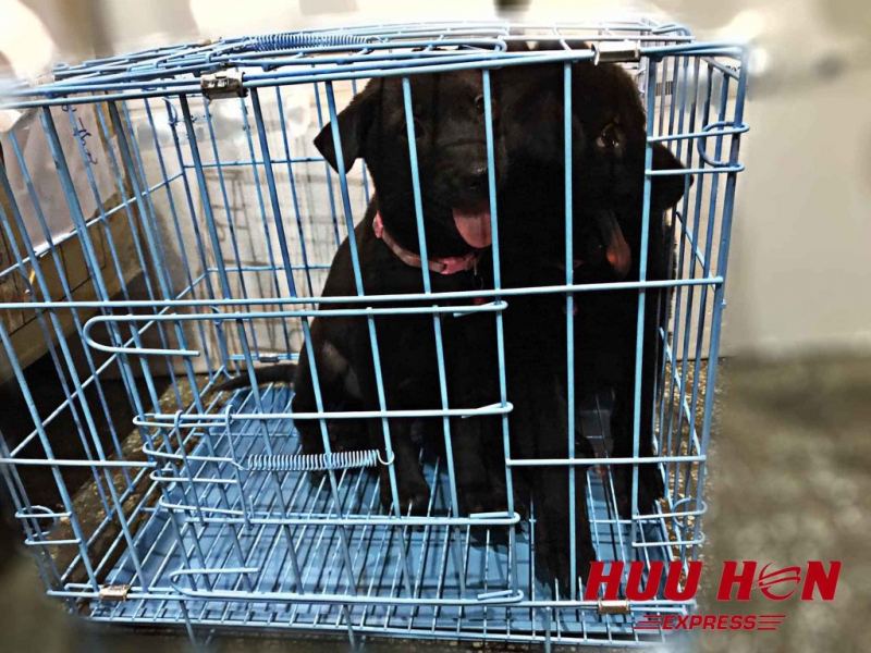 Hữu Hon Express