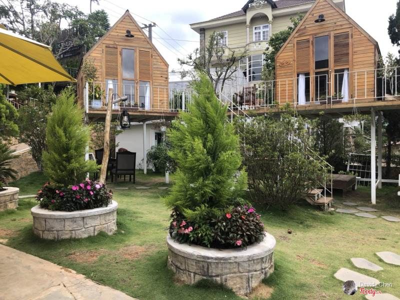 In The Pines Dalat