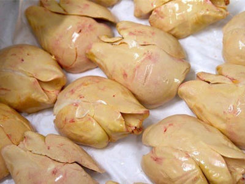 Gan ngỗng