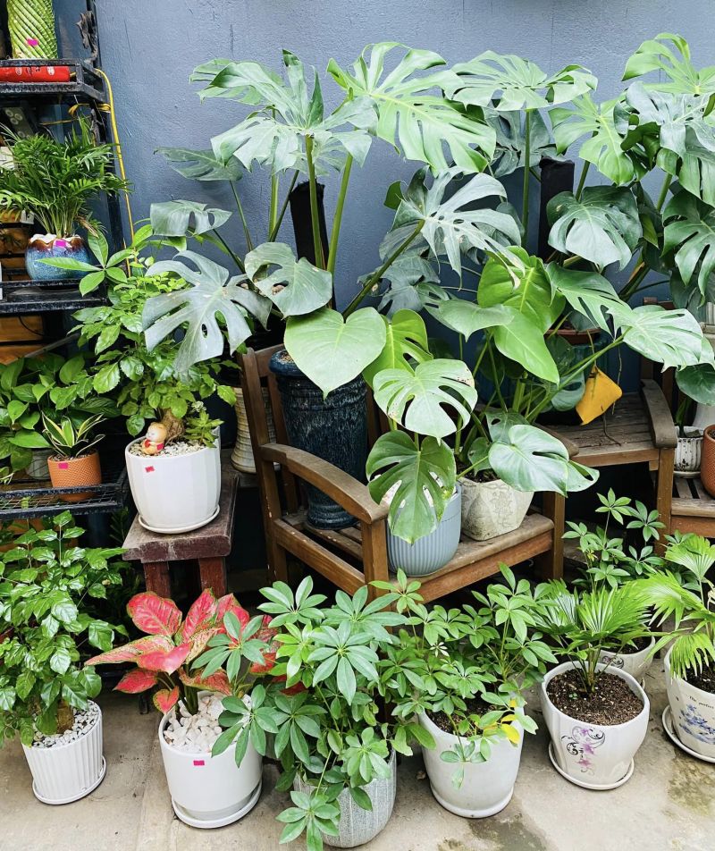 Ken Garden