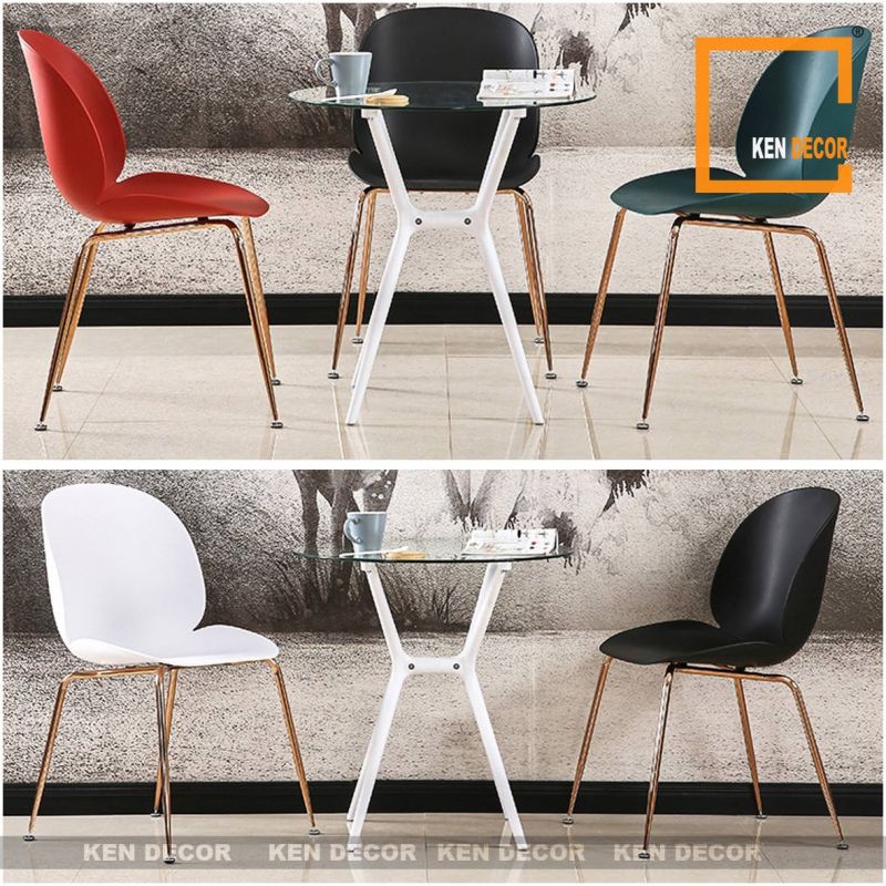 ﻿﻿Kendecor