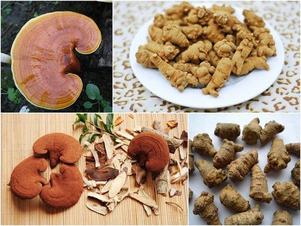 Kết hợp với tam thất