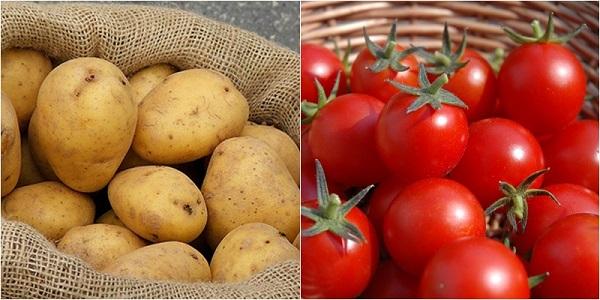 Khoai tây và cà chua trị thâm nách hiệu quả