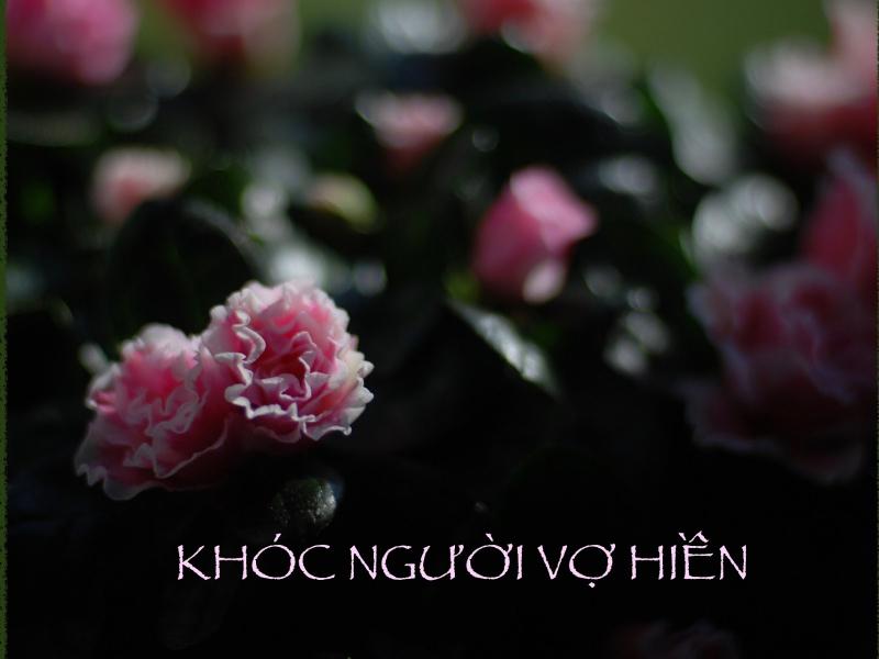 Khóc người vợ hiền