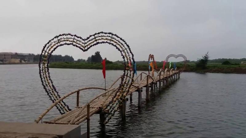 Khu du lịch sinh thái Cồn Đen - Cồn biển đẹp nhất miền Bắc