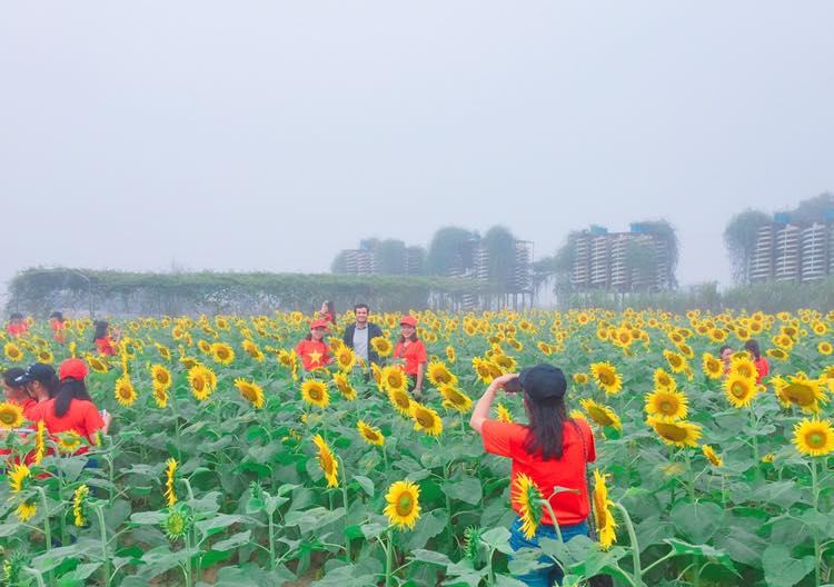 Đi giữa những vầng dương