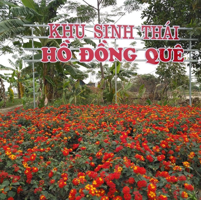 Khu Sinh Thái Hồ Đồng Quê
