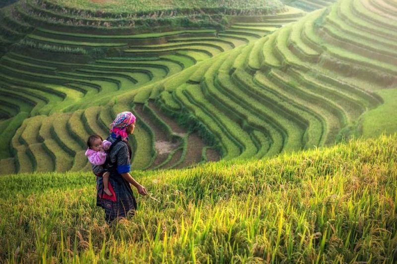 Công cha nghĩa mẹ