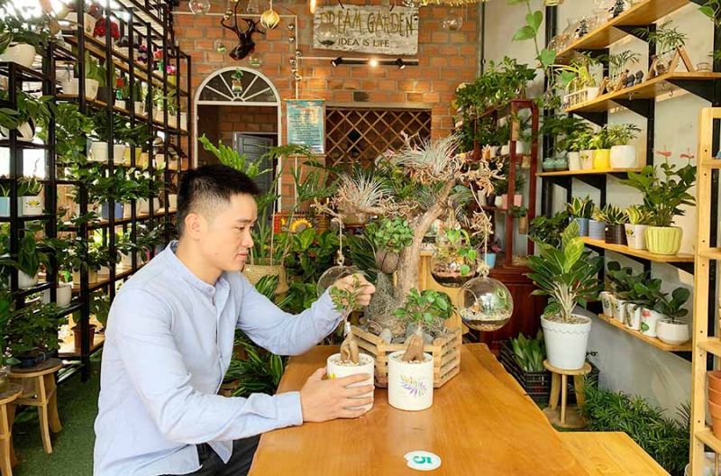 Kinh doanh cây cảnh mini