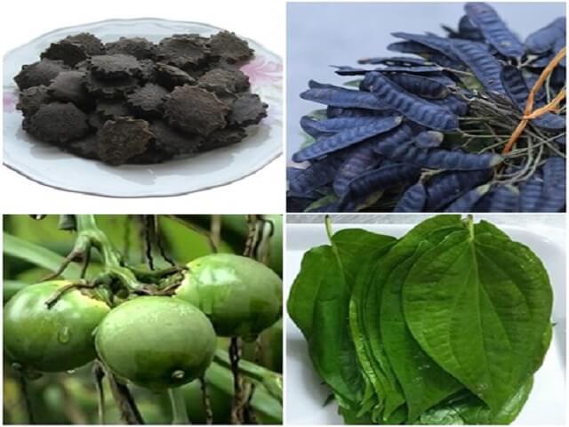 Kết hợp lá trầu không, bồ kết, nhân hạt gấc và quả cau chữa trĩ