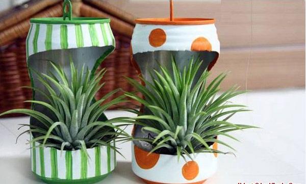Làm chậu cây handmade bằng vỏ lon