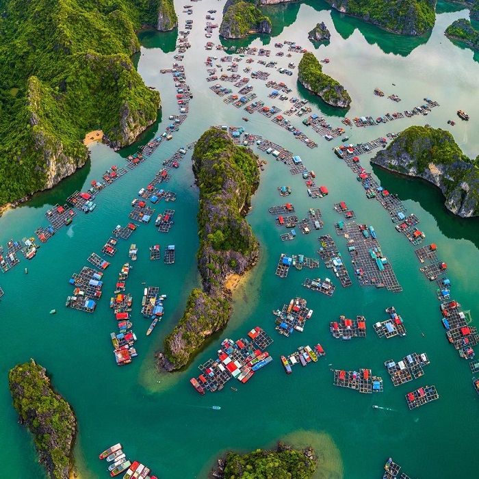 Làng chài Cái Bèo, Cát Bà, Hải Phòng
