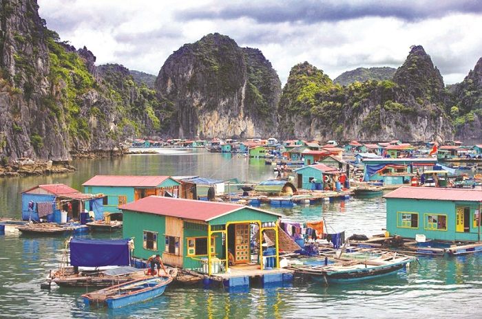 Làng chài Vung Viêng, Hạ Long