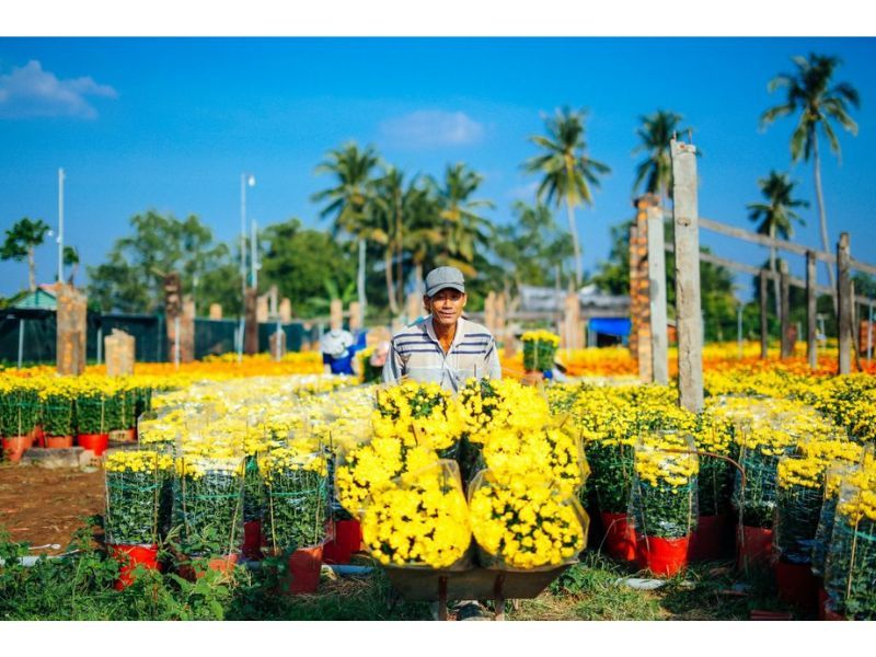 Làng hoa Cái Mơn