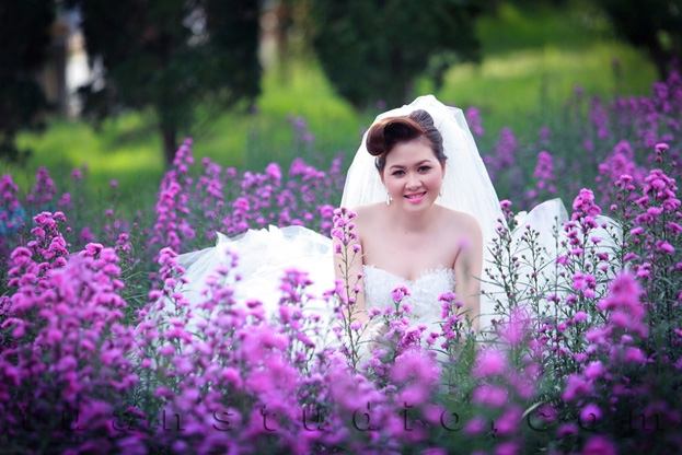 Làng hoa Hạ Lũng