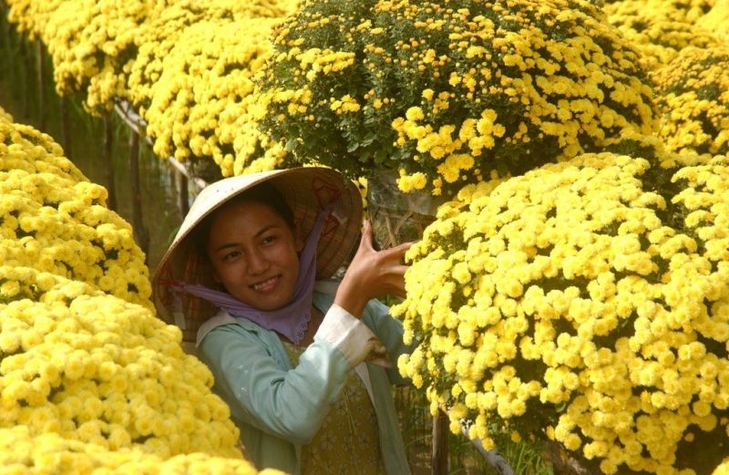 Làng hoa Nghi Tàm