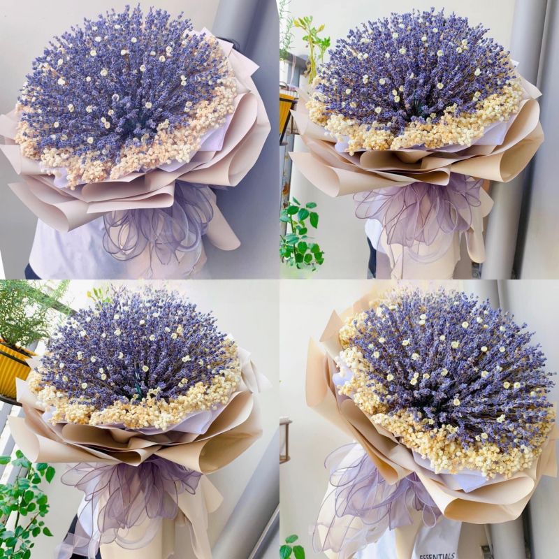 Lavender Hà Nội - Hoa Oải Hương nhập khẩu Pháp