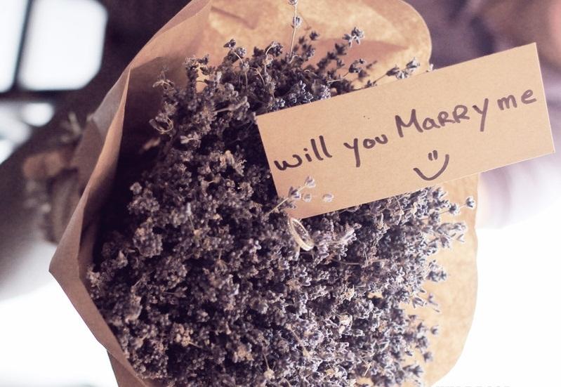 Ý nghĩa hoa Lavender