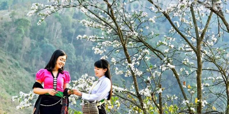 Lễ hội Hoa Ban Mộc Châu