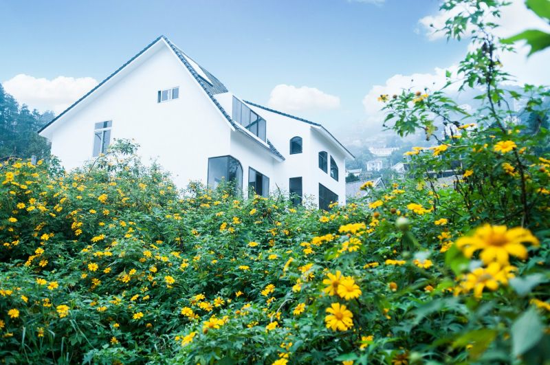 Le Vent Homestay