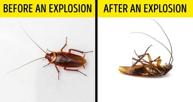 © depositphotos