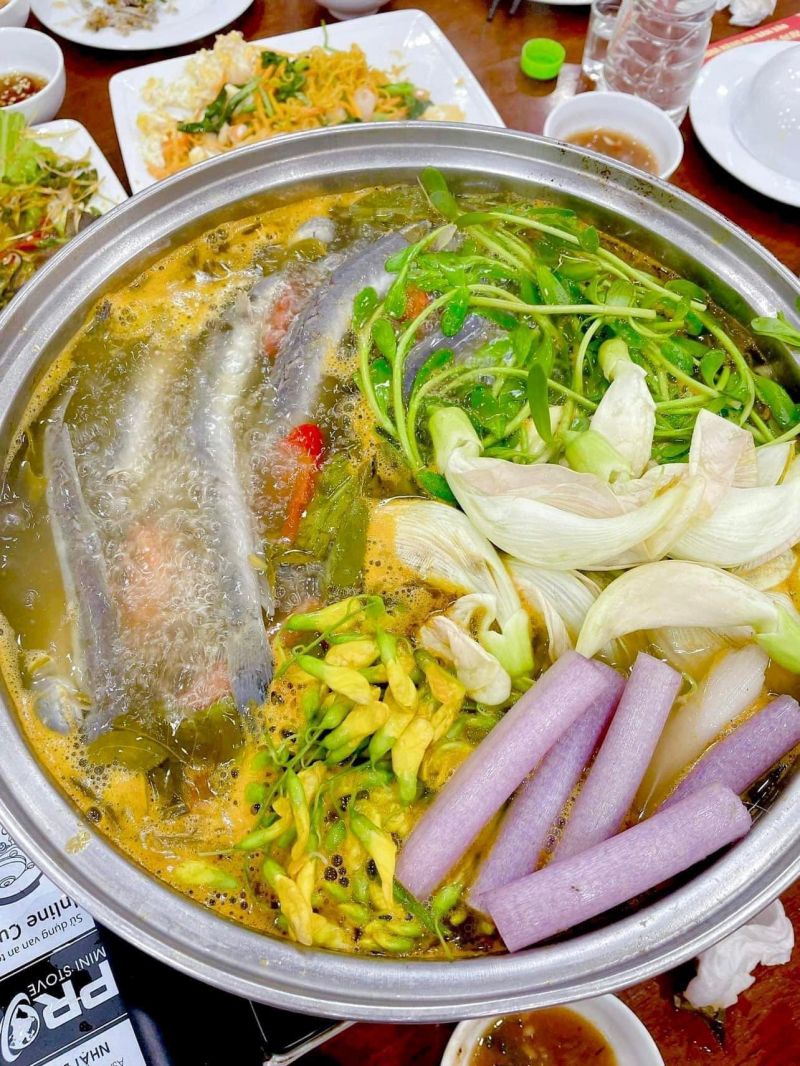 Cá Tầm Phan Thành
