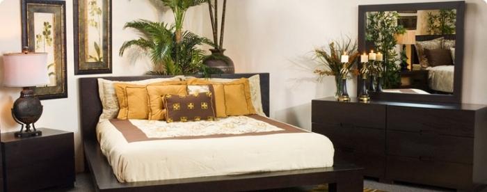 Tránh sử dụng những loại cây to trong phòng ngủ