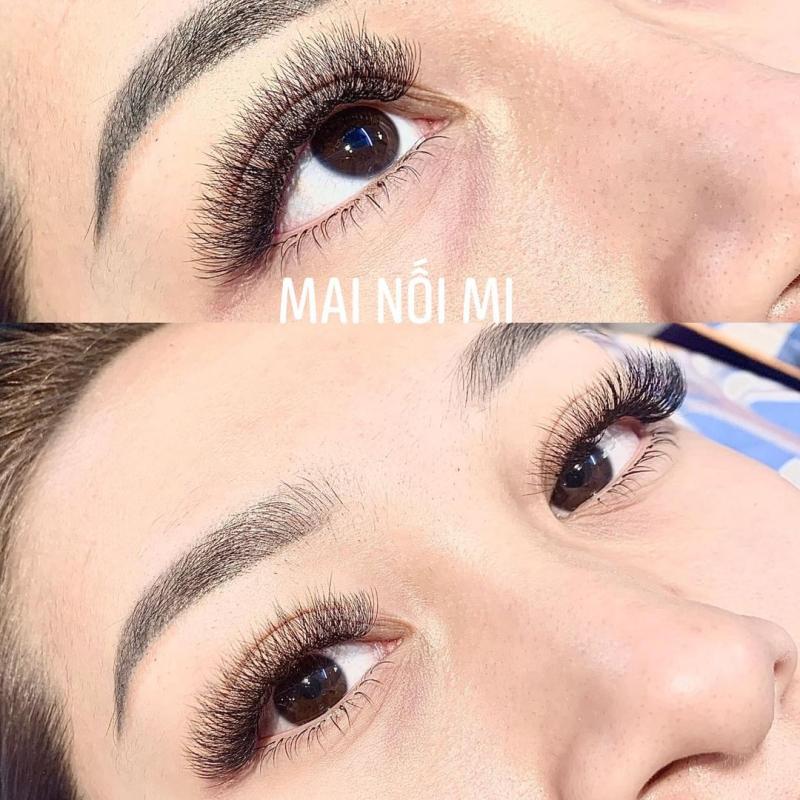 Mai Nối Mi