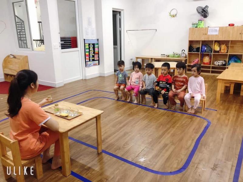 Mầm Non Hoa Trà Mi