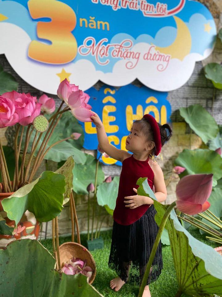 Mầm non Sen Vàng Việt Trì