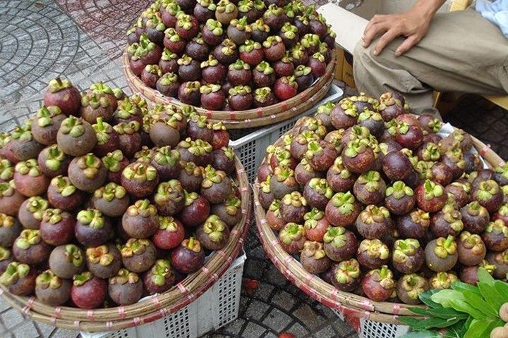 Măng cụt Bến Tre