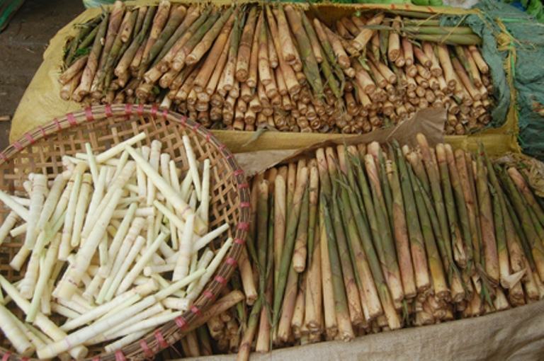 Măng sặt Nghĩa Lộ - Yên Bái