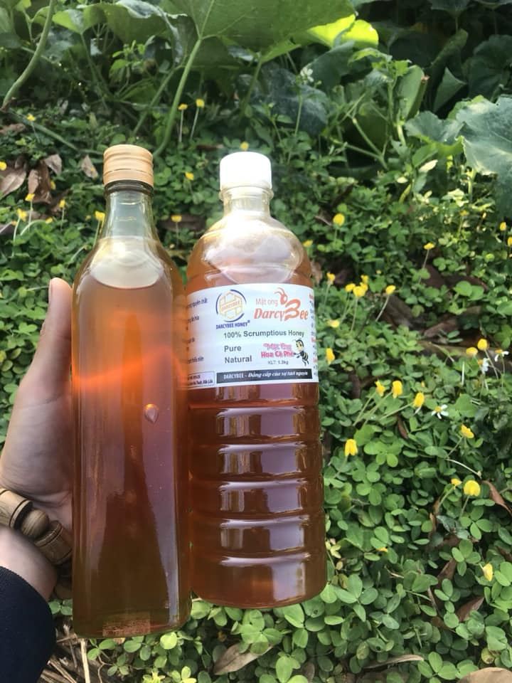 Mật Ong Buôn Mê Darcybee
