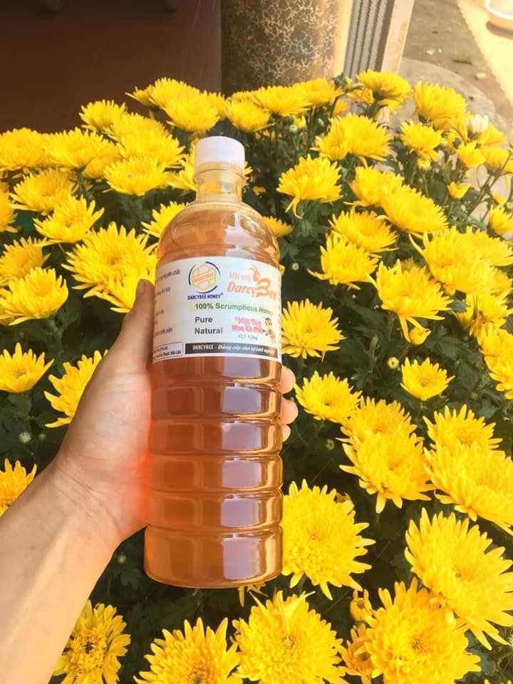 Mật Ong Buôn Mê Darcybee