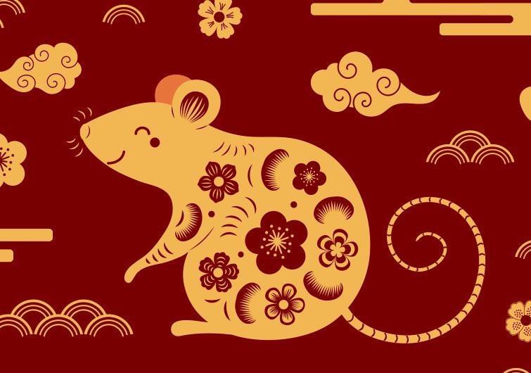 Gia chủ tuổi Tý