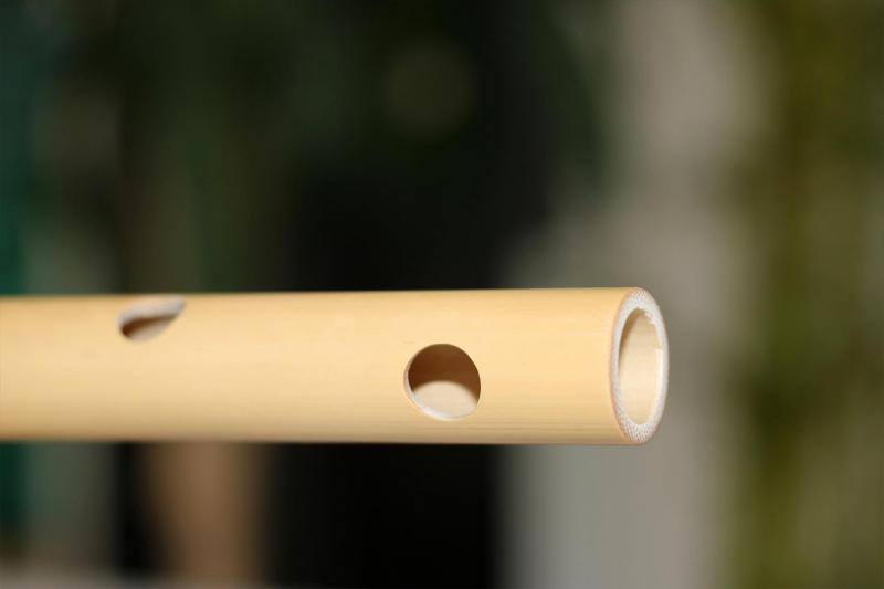Mây Guitar