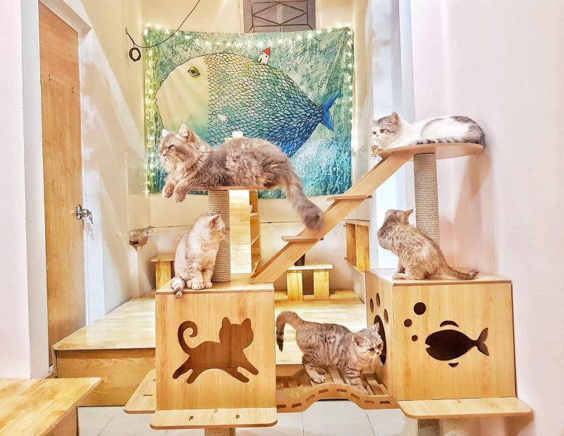 Đủ loại luôn, cưng quá :3