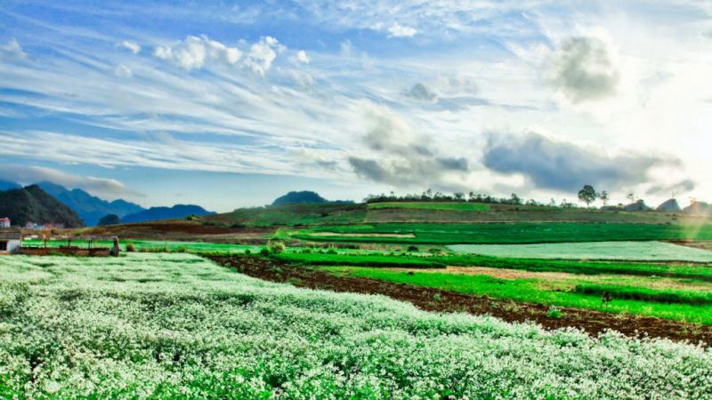 Huyện Mộc Châu - Tỉnh Sơn La