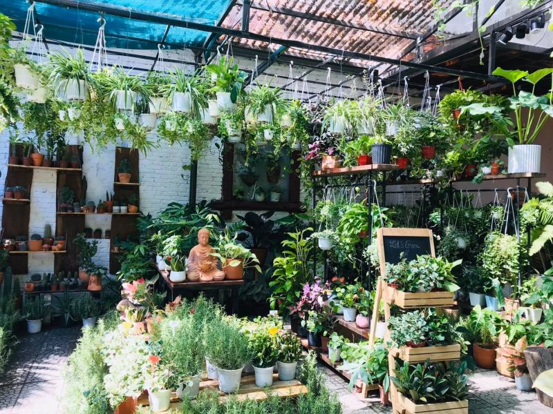 Mộc Garden