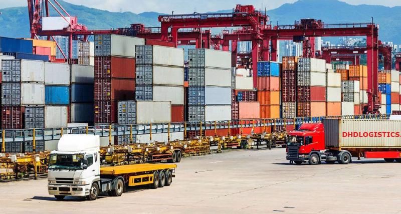 Một số khóa học xuất nhập khẩu