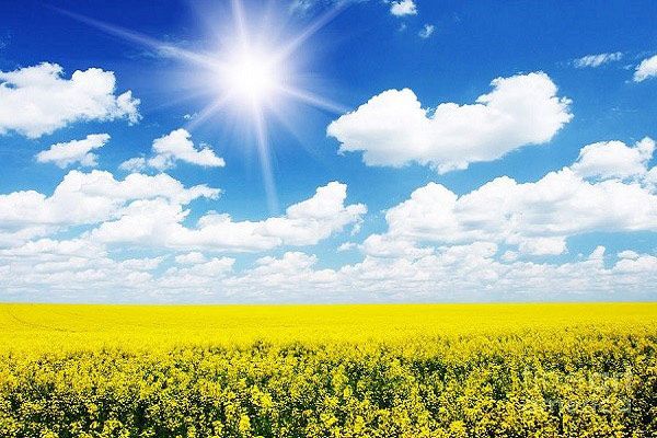 Bầu trời trong xanh mùa hè với những tia nắng vàng ấm áp