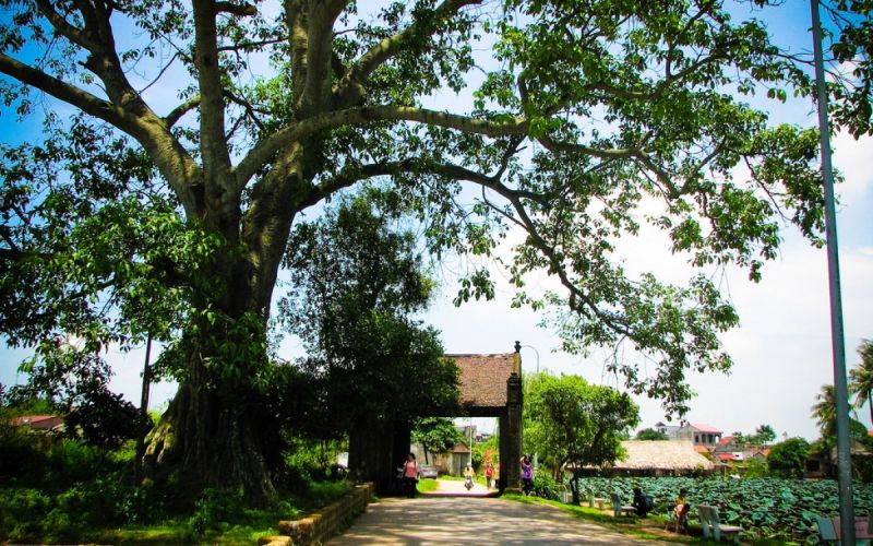 Mùa hè yêu thương