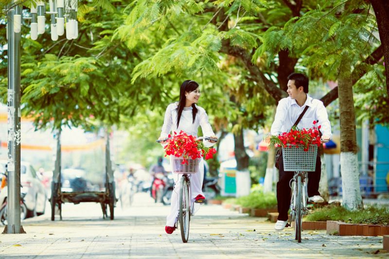 Lũ học trò chúng tôi ngắm phượng đẹp nhưng lại không muốn xa trường xa lớp một chút nào
