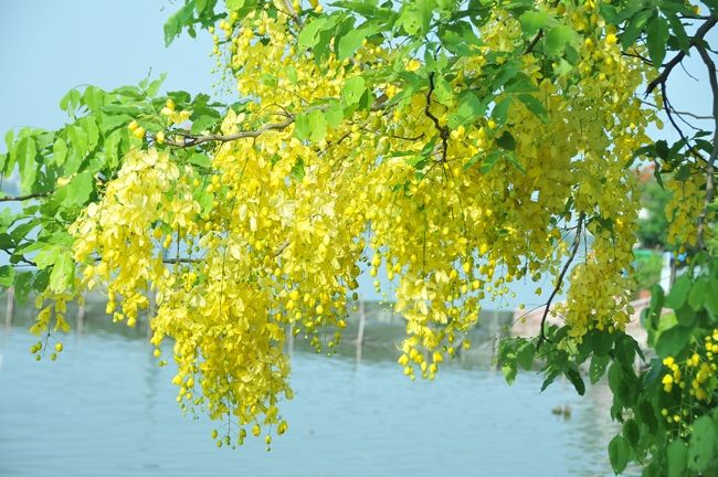 Còn không kỷ niệm