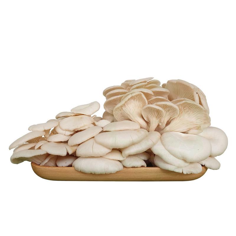 Nấm bào ngư xào trứng
