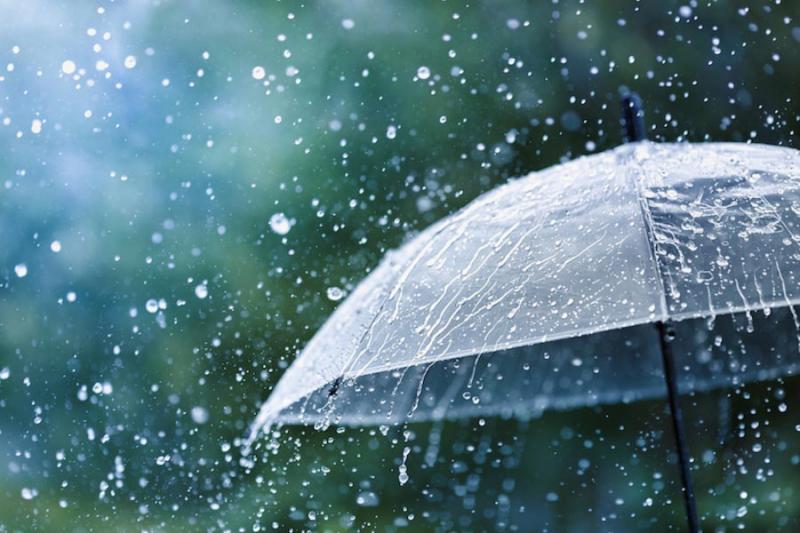 Nằm nghe tiếng mưa đêm