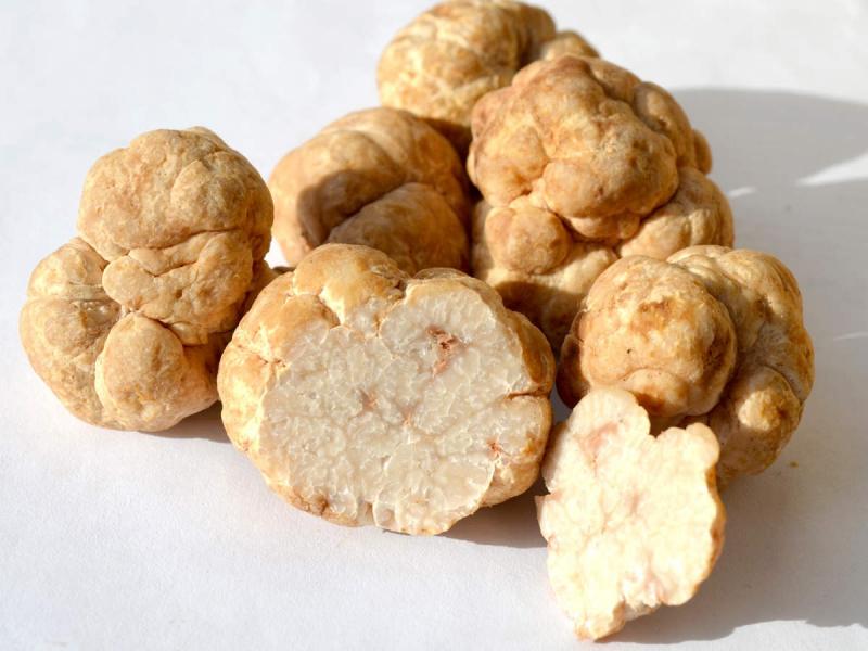Nấm truffle trắng